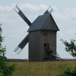 Odrestaurowany wiatrak typu "koźlak" w Bierzgłowie