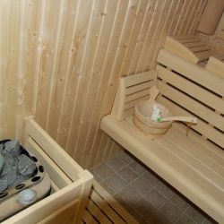 Pensjonat Daglezjowy Dwór - sauna