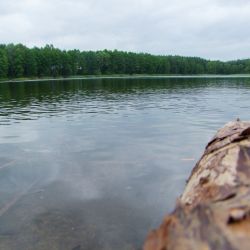 Jezioro w Józefowie