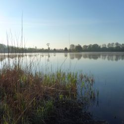 Jezioro w Pluskowęsach