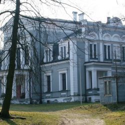 Pałac w Pluskowęsach