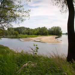 Wyspa na Wiśle - Kępa Zielona fot. R. Kołodziej