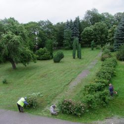 Park przy pałacu w Łysomicach