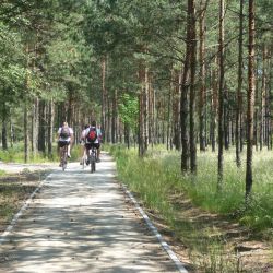 Ścieżka rowerowa o okolicach jeziora Dzikowo