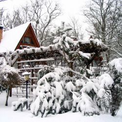 Hotelik Leśny Zakątek