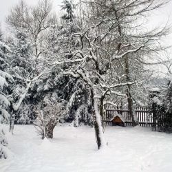 Gospodarstwo Agroturystyczne pod Kasztanami