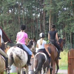 Gospodarstwo Agroturystyczne - Stajnia w Czarnym Błocie