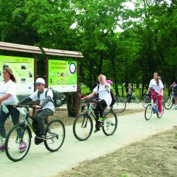 Otwarcie drogi rowerowej Toruń-Chełmża