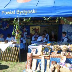 Dożynki Wojewódzkie w Koronowie (4)