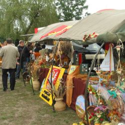 Dożynki Wojewódzkie w Golubiu-Dobrzyniu (2)