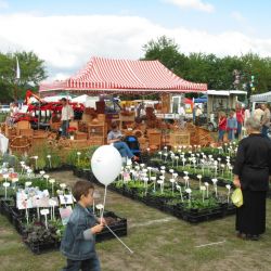 Dożynki Wojewódzkie w Golubiu-Dobrzyniu (5)