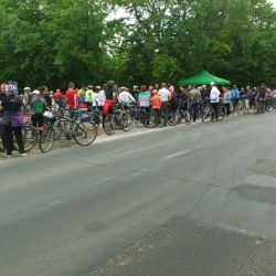 Droga rowerowa Toruń Chełmża Kamionki