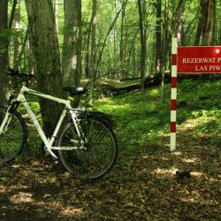 Droga rowerowa Toruń Chełmża Kamionki (8)