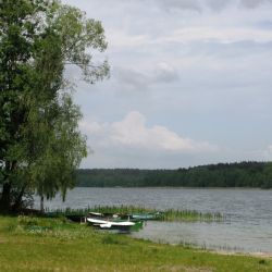 Droga rowerowa Toruń Chełmża Kamionki (9)