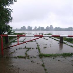 Czarnowo przystań nad Wisłą