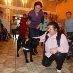 zajęcia z dogoterapii w dps w Pigży