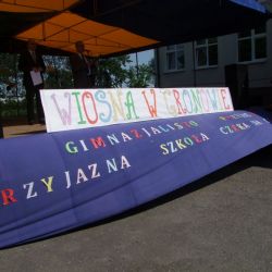 Wiosna w Gronowie 2012