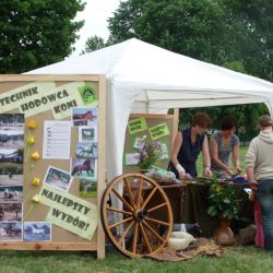 Wiosna w Gronowie 2011 (1)