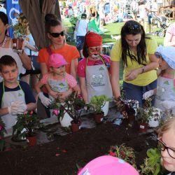 2016-06-05 Piknik śniadanie na trawie (15)