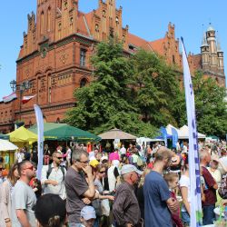 2016-06-05 Piknik śniadanie na trawie (4)