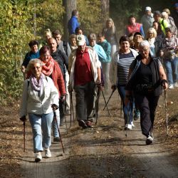 Marsz nordic walking