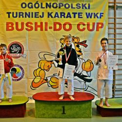 Ogólnopolski Turniej Karate WKF BUSHI-DO CUP – BYDGOSZCZ 2016