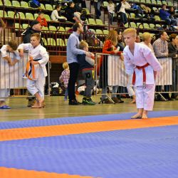 Ogólnopolski Turniej Karate WKF BUSHI-DO CUP – BYDGOSZCZ 2016 (1)