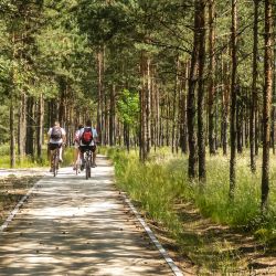 Droga rowerowa Złotoria-Osiek nad Wisłą