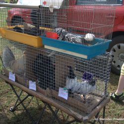 2018-05-26 Majówka w Górsku (49)
