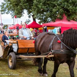 2017-09-02 Dożynki Zławieś Wielka (6)