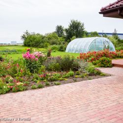 Gospodarstwo - Lubicz - Grębocin - Jadwiga i Ryszard Górnaccy (8)