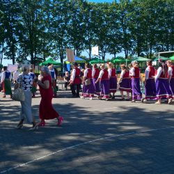 2017-05-27 IX Majowe Spotkania Twórców Powiatu Toruńskiego (12)