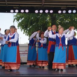 2017-05-27 IX Majowe Spotkania Twórców Powiatu Toruńskiego (30)