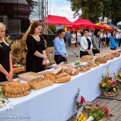 2018-08-26 Dożynki w Czernikowie (45)