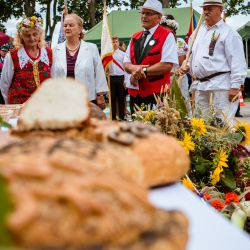 2018-08-26 Dożynki w Czernikowie (51)