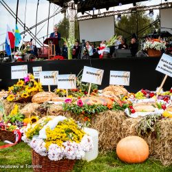 2018-09-02 Dożynki Głogowo (14)