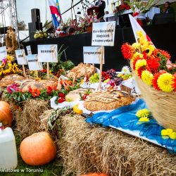 2018-09-02 Dożynki Głogowo (6)