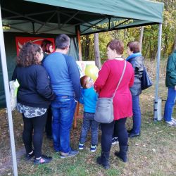 Rozbłyśnij odblaskiem na drodze (18)