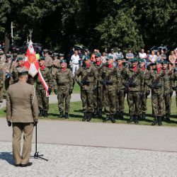 Święto Wojska Polskiego (4)