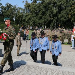 Święto Wojska Polskiego (21)