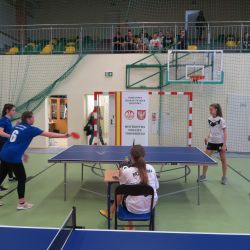 Mistrzostwa Powiatu - Drużynowy Tenis Stołowy Dziewcząt i Chłopców IMS (10)