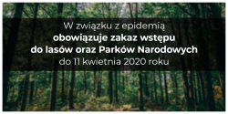 zakaz wstępu do lasów