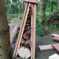 Relacja z warsztatów w ostoi Pszczół i owadów zapylających (3)