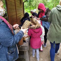 Relacja z warsztatów w ostoi Pszczół i owadów zapylających (6)