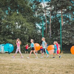 _MG_9502