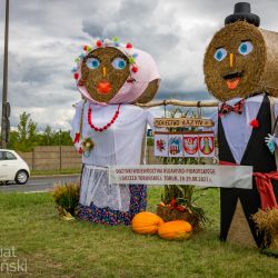 Witacz przy Szosie Bydgoskiej (2)