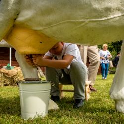 Wioska ginących zawodów (5)
