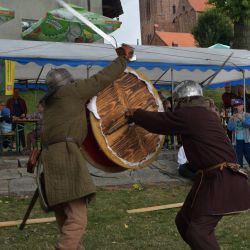 Festiwal Żywej Historii w Chełmży (21)