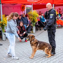 2021-08-23 Pożegnanie lata w DPS Pigża (23)