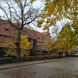 Wycieczka do Malborka i Grudziądza (4)